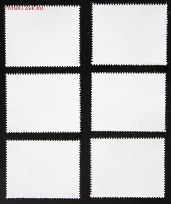 Sharjah. Fujeira. Ajman. Собаки. до 02.05.15 - IMG_2672.JPG