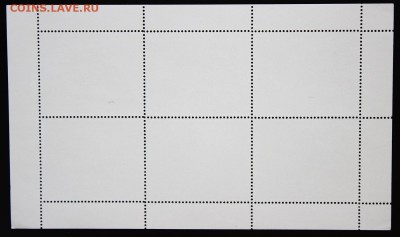 Sharjah. Fujeira. Ajman. Собаки. до 02.05.15 - IMG_2586.JPG