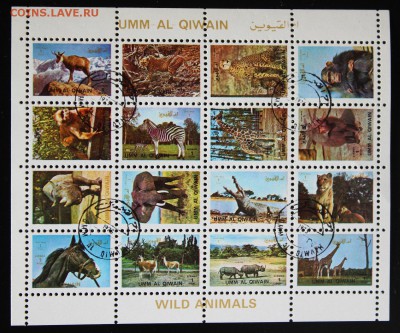 Umm al Qiwain. Мини-малый лист. Фауна. до 02.04.15 - IMG_2685.JPG