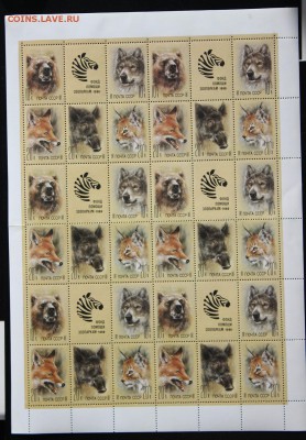 СССР. Животные зоопарков, лист. до 02.04.15 - IMG_2691.JPG