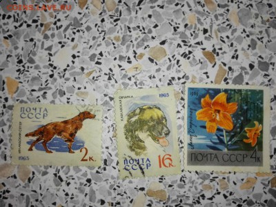 Марки на опознание - IMG_20150426_152141