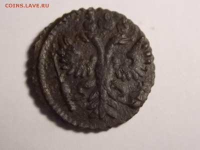 Полушка1731. Красивая. - DSCN3636.JPG
