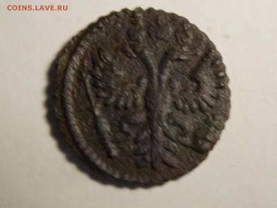 Полушка1731. Красивая. - DSCN3635.JPG