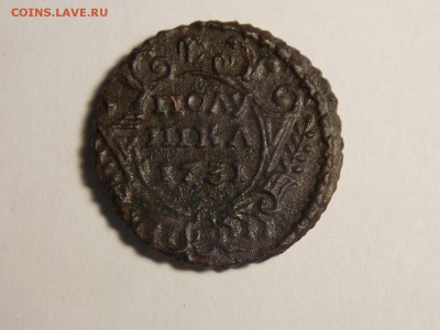Полушка1731. Красивая. - DSCN3633.JPG