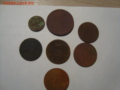 кучка медных - DSC08530.JPG