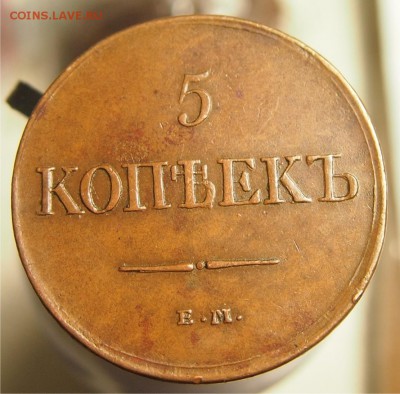 5 копеек 1831 года ФХ до 30.04.2015 22-30 по Мск - 5k1831_фх_2