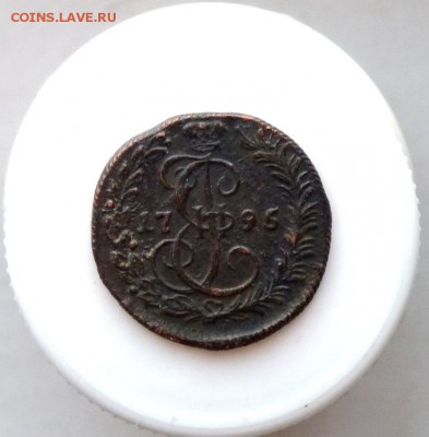 Денга 1795 км Не мытая.) до 30.04 - P1100503.JPG