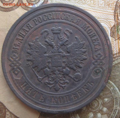 5 копеек 1911г.спб.до3.05.15. 22-30 по Мск. - IMG_6718.JPG