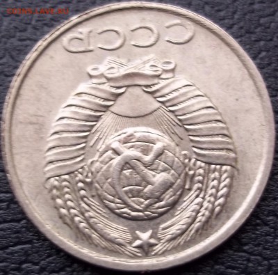 б - 100_9938.JPG