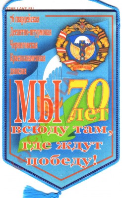 вымпелы, шевроны. - img109