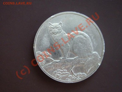 3 рубля 1995 (Соболь, серебро) до 29.06.2010 до 22-30 мск - IMGP5596_900x675