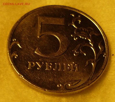 5р 2011г м червоточина.на канте гурте. - P1130004.JPG