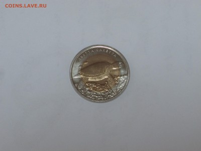 Турция, 1 лира 2009, Черепаха - IMG_3248.JPG