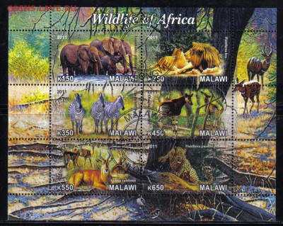 Малави мл 2011г Животные Африки до 3.05 22.00мск - Малави мл 2011г Животные Африки-1