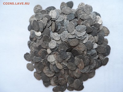 Чешуя более 400 шт,определение и оценка - SAM_1500.JPG