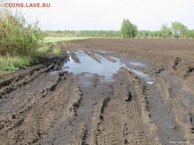 делает - прямо сейчас !!! - 608743924