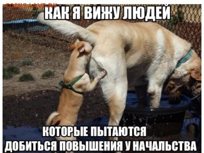 юмор - image