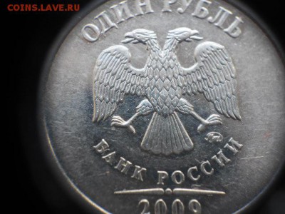 Вопросы по разновидам от Дамир_чиш - 3.3 002.JPG