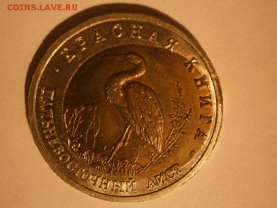 Красивый аист 1993 кк СМЕЩЕНИЕ и ПЕРЕКОС - P4250020.JPG
