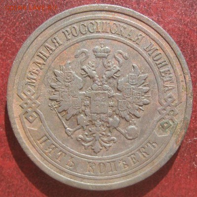 5 копеек 1911г.спб.до3.05.15. 22-30 по Мск. - IMG_6758.JPG