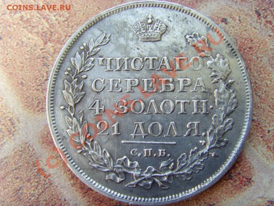 8 - SNV36242.JPG