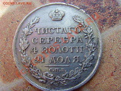 8 - SNV36244.JPG