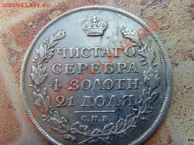 8 - SNV36247.JPG