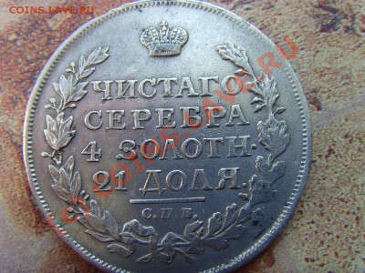 8 - SNV36249.JPG