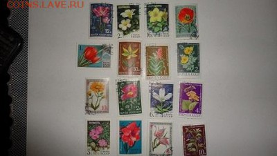 марки цветы ссср - DSC04755.JPG