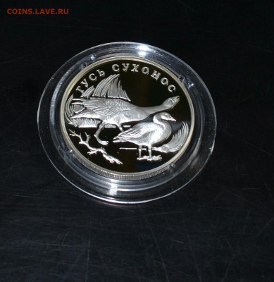1 рубль  2006 года Гусь сухонос 05.05.2015 22-00 - DSC_1861.JPG