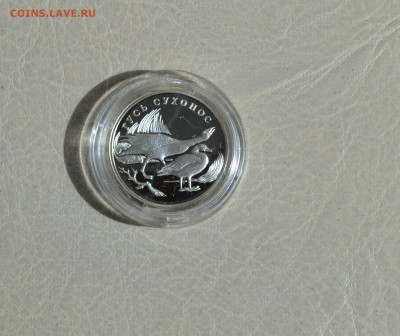 1 рубль  2006 года Гусь сухонос 05.05.2015 22-00 - DSC_1899.JPG