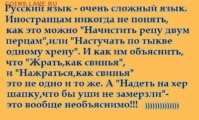 делает - прямо сейчас !!! - image