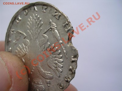 ПОЛТИНА 1732 - ПОЛТИНА 5.JPG