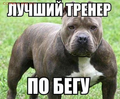 юмор - бегун