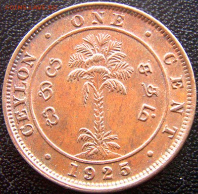 Британский Цейлон_отличный цент 1925; до 05.05_22.20мск - 8676