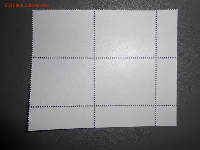 АРГЕНТИНА, скауты, квартблок, чистый, до 11.05.2015 - DSCN7128.JPG