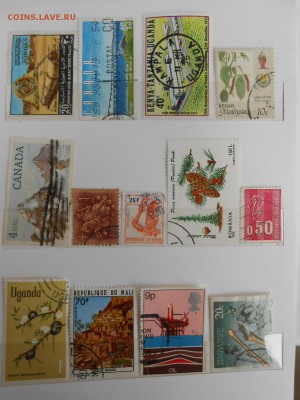 Снижение цен! Марки мира, 103 штуки без повторов - DSCN6919.JPG