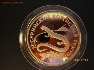 Уссурийский когтистый тритон. Серебро  925 15,55 гр. - IMG_3565.JPG