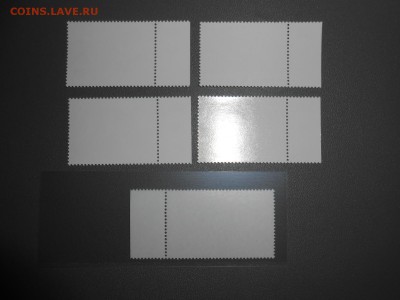 ЮАР, животные национальных парков, чистые, полная серия - DSCN7343.JPG