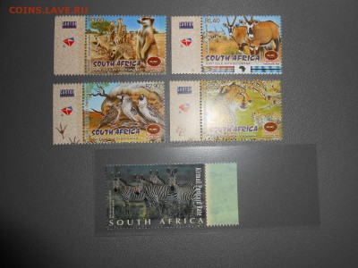 ЮАР, животные национальных парков, чистые, полная серия - DSCN7342.JPG