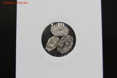 определение чешуи - DSC02363.JPG