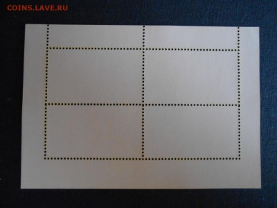 Джибути, Бабочки, малый лист, до 12.05.2015 - DSCN7354.JPG