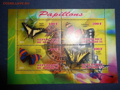 Джибути, Бабочки, малый лист, до 12.05.2015 - DSCN7353.JPG