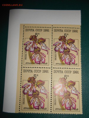 СССР, квартблоки чистые люкс. Орхидеи, 1991 год, 3 разных - DSCN7406.JPG