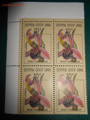 СССР, квартблоки чистые люкс. Орхидеи, 1991 год, 3 разных - DSCN7405.JPG