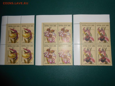 СССР, квартблоки чистые люкс. Орхидеи, 1991 год, 3 разных - DSCN7404.JPG