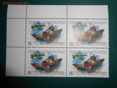 СССР, квартблоки чистые люкс. Утки, 1989 год, 2 разных - DSCN7411.JPG