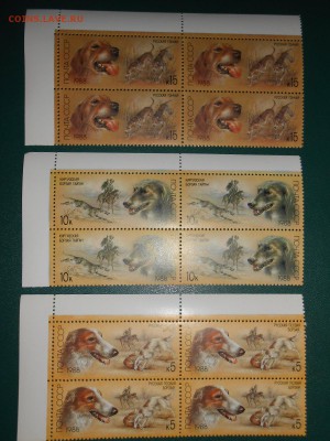 СССР, квартблоки чистые люкс. Охотничьи собаки, 3 разных - DSCN7415.JPG