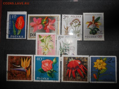 Польша, 39 марок без повторов, до 12.05.2015 - DSCN7472.JPG