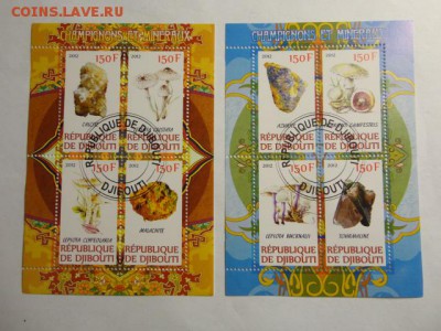 2 блока грибы и минералы до 11.05.2015 г. - DSC00164.JPG